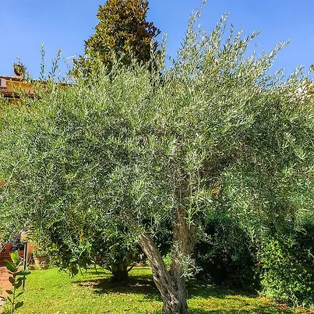 Oda ve Kahvaltı Elsa, Zona Ippodromo