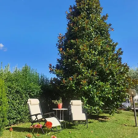 Elsa, Zona Ippodromo 3* Cesena