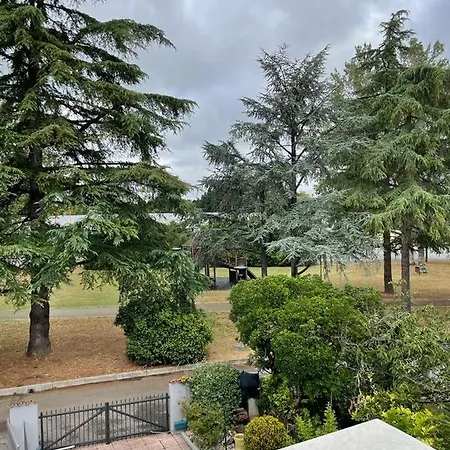 Oda ve Kahvaltı Elsa, Zona Ippodromo Cesena