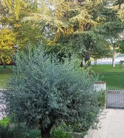 Bed & Breakfast Elsa, Zona Ippodromo