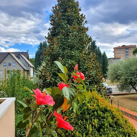 Oda ve Kahvaltı Elsa, Zona Ippodromo 3*