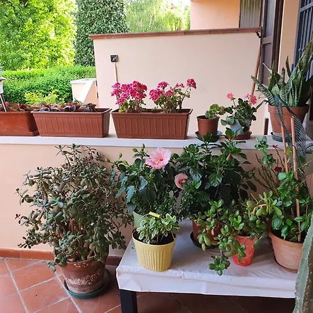 Bed & Breakfast Elsa, Zona Ippodromo *