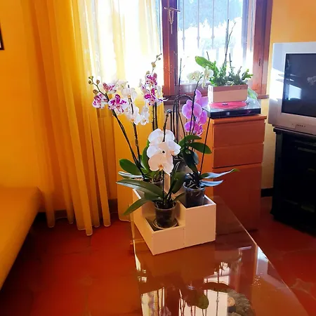 Elsa, Zona Ippodromo Oda ve Kahvaltı Cesena