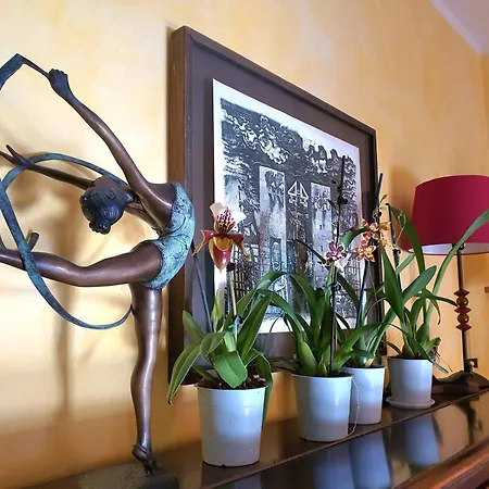 Elsa, Zona Ippodromo 3*