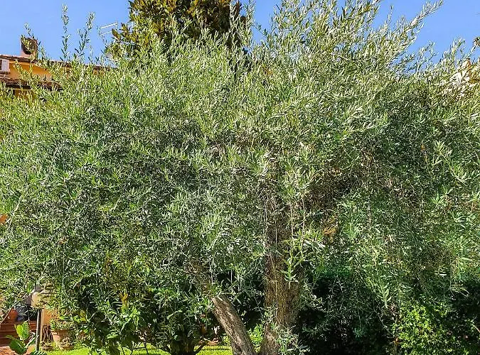 فندق مبيت وإفطار Elsa, Zona Ippodromo