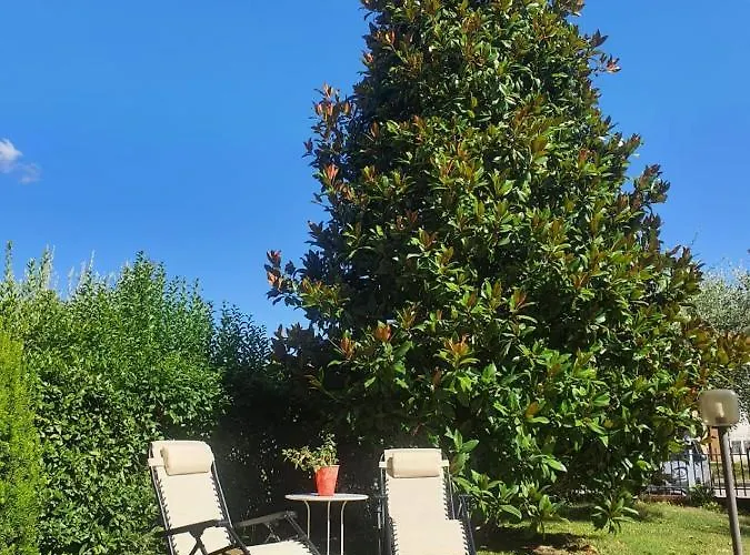 Elsa, Zona Ippodromo 3* צ'זנה