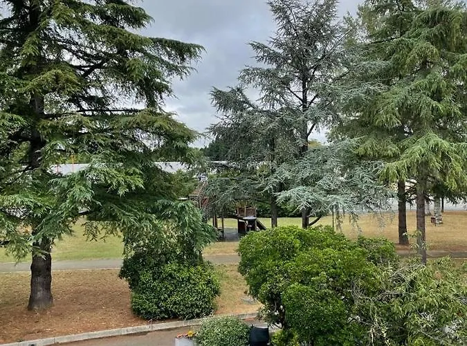 فندق مبيت وإفطار Elsa, Zona Ippodromo تشيزينا