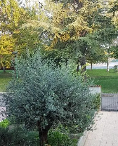 فندق مبيت وإفطار Elsa, Zona Ippodromo