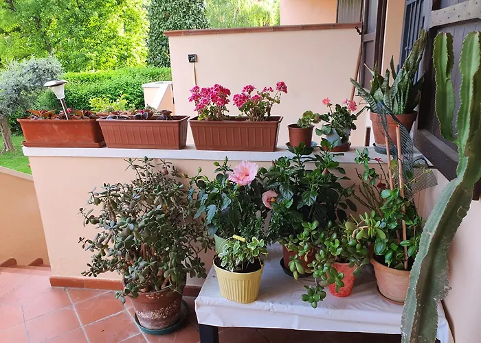 فندق مبيت وإفطار Elsa, Zona Ippodromo 3*