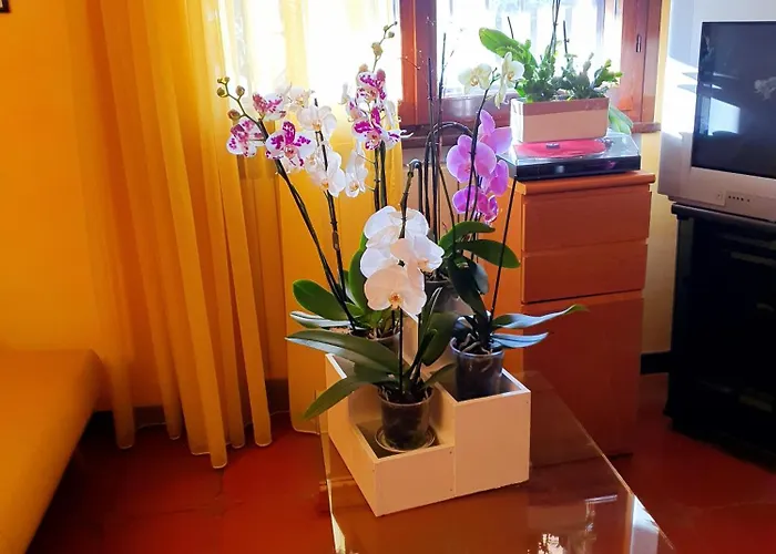 Elsa, Zona Ippodromo לינה וארוחת בוקר צ'זנה